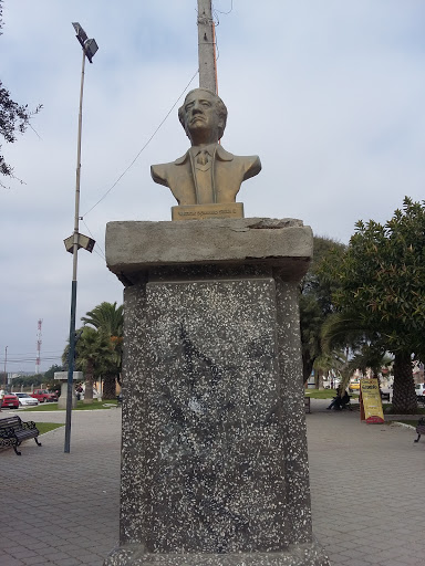 Victor Domingo Silva  E.  Poeta Y Escritor 