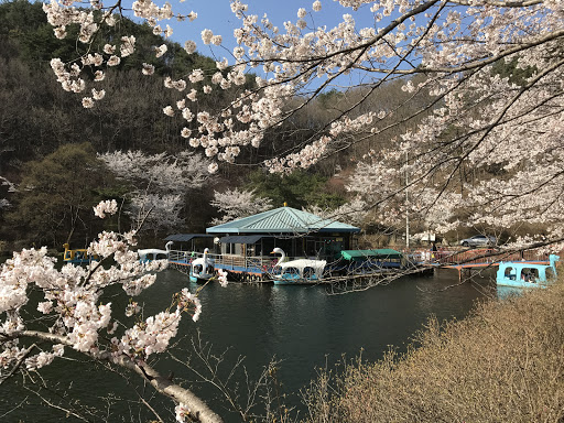 오리 배