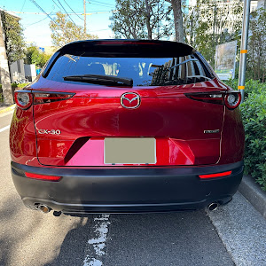 CX-30