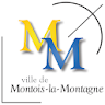 Montois Pocket icon