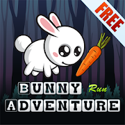 Bunny Run Adventure