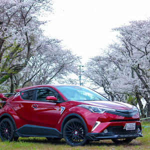 C-HR NGX50