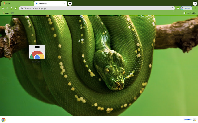 Google Snake Hack - EarthWeb