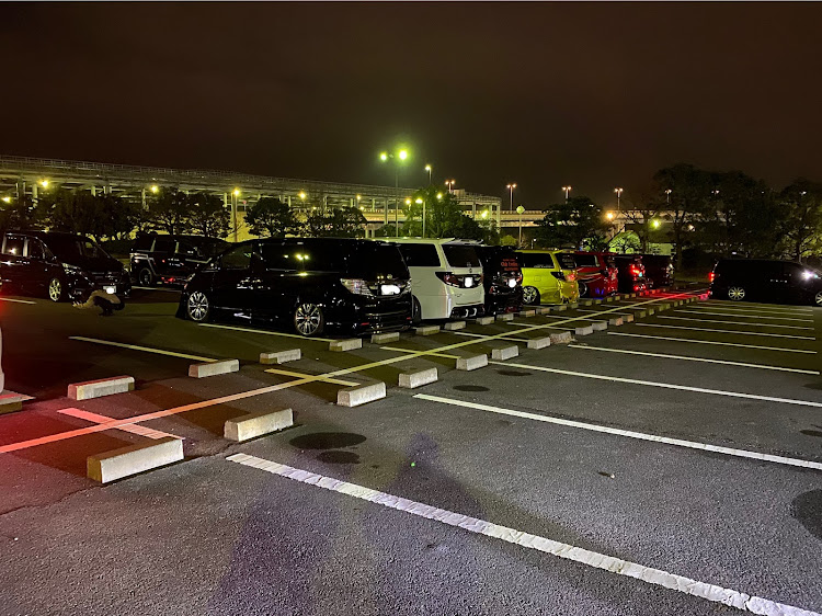 ヴェルファイアの洗車納め・今年もお世話になりました・ドライブ・オフ会・洗車に関するカスタム事例の投稿画像4枚目