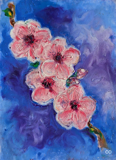 FLEURS DE SAKURA