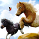 Jeu de Course de Chevaux Poney icon