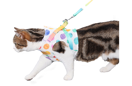 Title 5, Chest Leash Harness for Small to Medium Dogs Se...