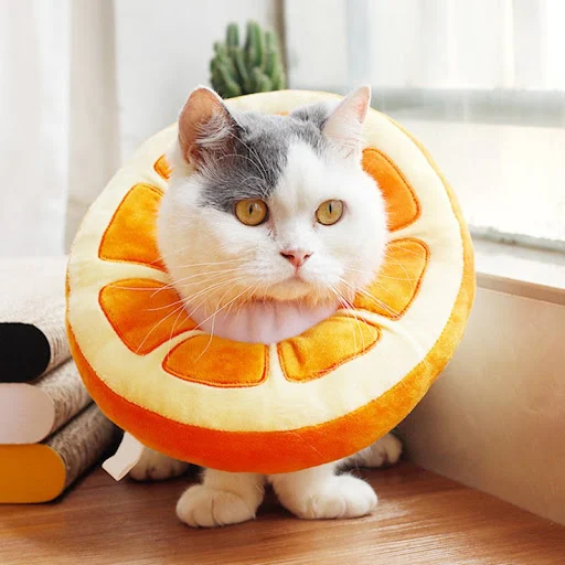 Cat Fruit E-Collar Recovery Cone Adjustable Cotton Blends Neck Recover Cat Dog Pet Protection Collar