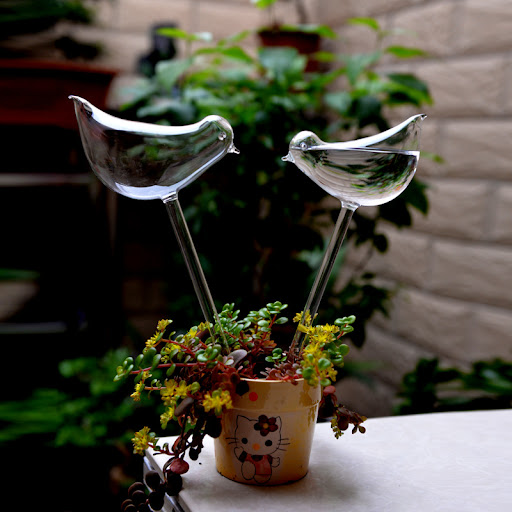 Title 2, Bird Automatic Watering Device Transparent Glas...
