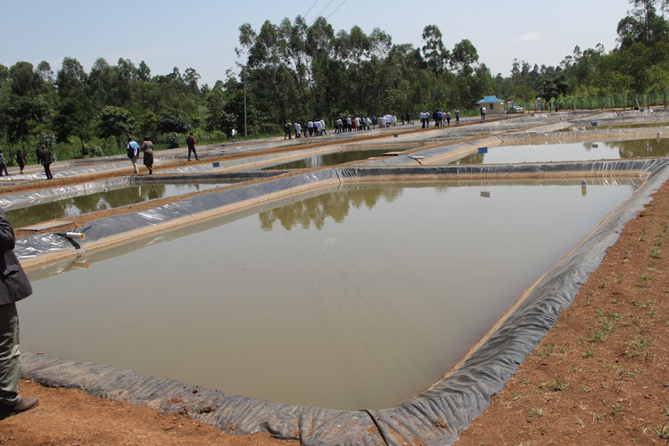 over view of Mwitoko fish production unit