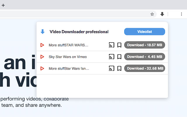 Video Downloader professional