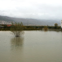 UNO SPECCHIO D'ACQUA TUTTO PER ME di 