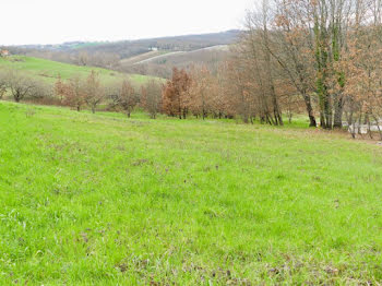 terrain à Moissac (82)