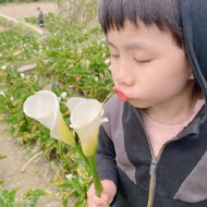 【竹子湖】苗榜花園餐廳