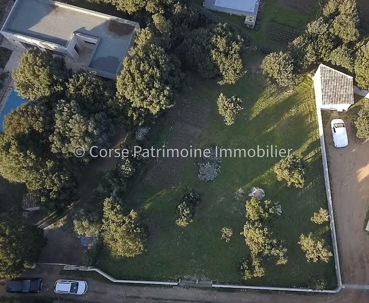 Vente terrain  1053 m² à Bonifacio (20169), 300 000 €