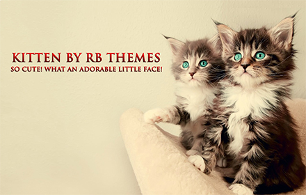 Kitten By RB Themes small promo image