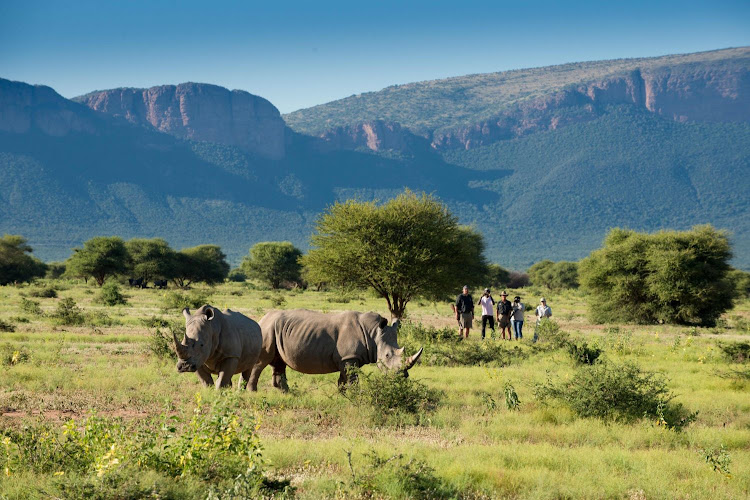 Marataba safari bush walk