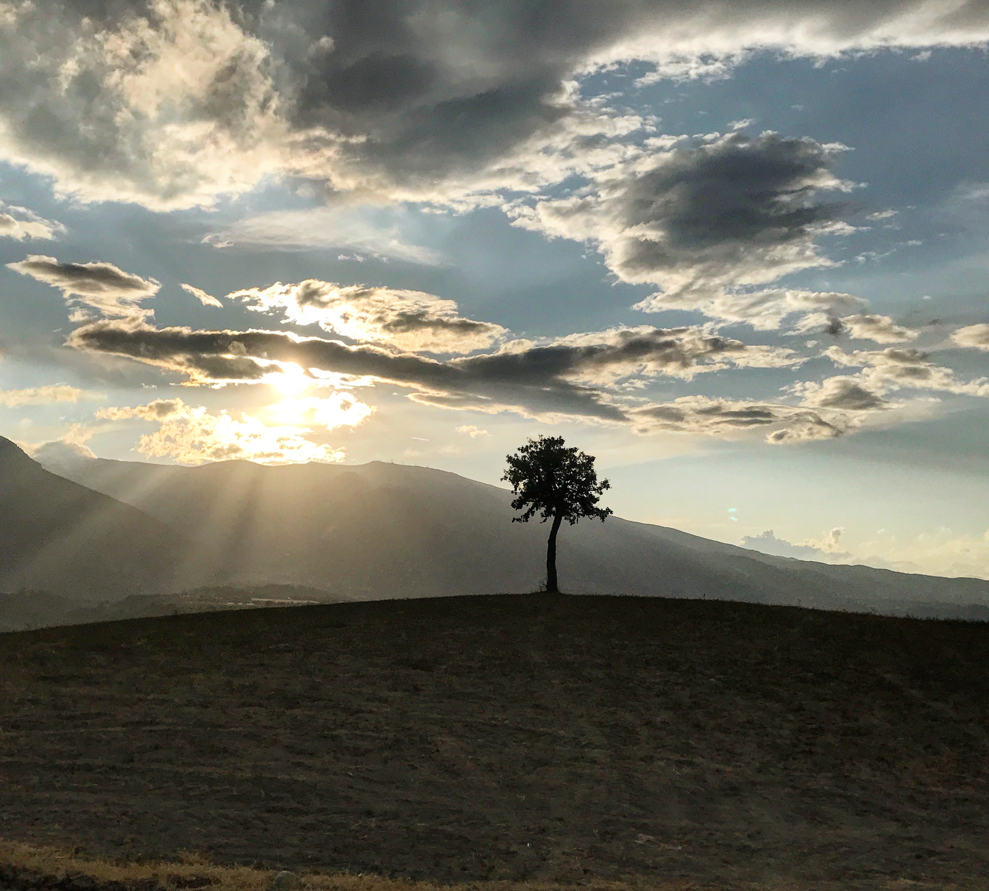 Solitudine campestre di piercol