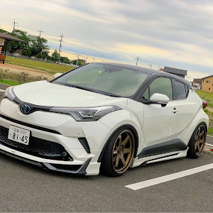 C-HR ZYX10