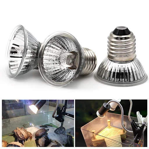 220V Reptile Heat Lamp Bulb Lamp for Turtle Tortoises Heating Lamp Holder Thermometer Hygrometer Turtle Tortoises Baskin