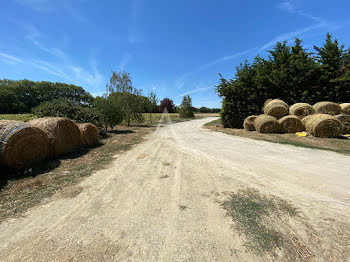 locaux professionnels à Labastide-d'Anjou (11)