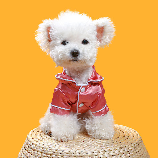 Title 6, Comfortable Silk Pet Pajamas Clothing for Dogs ...
