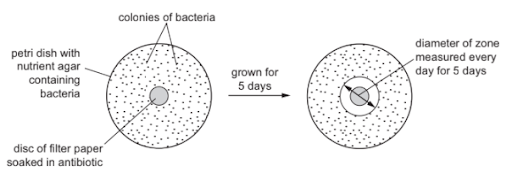 Antibiotics