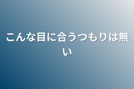 こんな目に合うつもりは無い