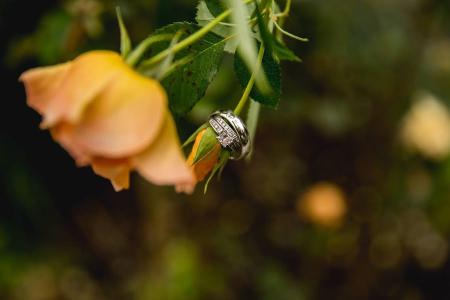 Wedding photographer Katie Lauren (katielauren). Photo of 8 May 2019