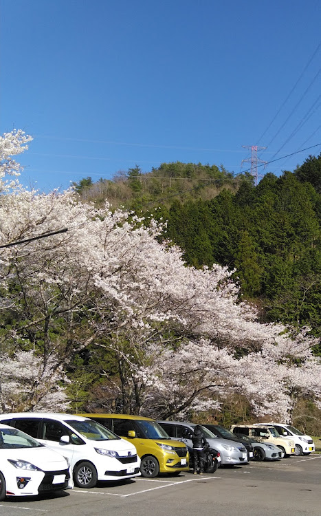 の投稿画像2枚目