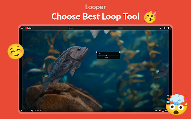 Looper chrome extension