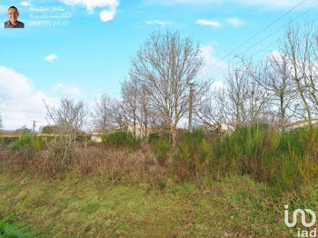 terrain à Saint-Hilaire-le-Vouhis (85)