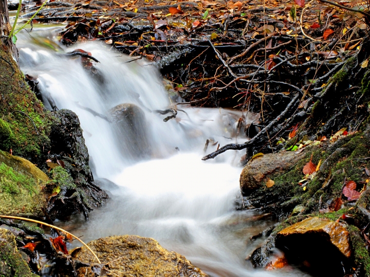 Autumn falls di Silvio Lorrai