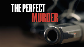 The Perfect Murder thumbnail