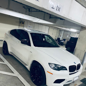 X6 E71