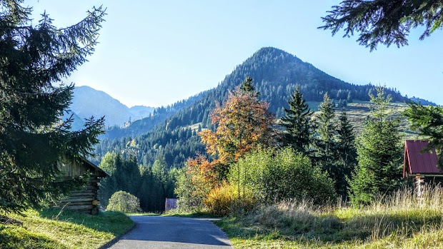 Blick nahe Parkplatz Mautstraße Strausberg Imberg Sonthofen auf das Sonthofener Hörnle 