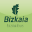 Bizkaibus icon