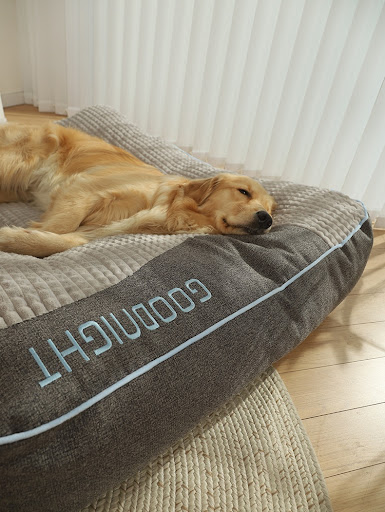 Title 6, Four Seasons Universal Dog Sofa Bed for Medium ...