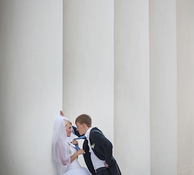 Wedding photographer Sergey Toropov (understudio). Photo of 19 June 2014