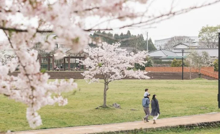 「ちょっとおバカな家族」のメインビジュアル