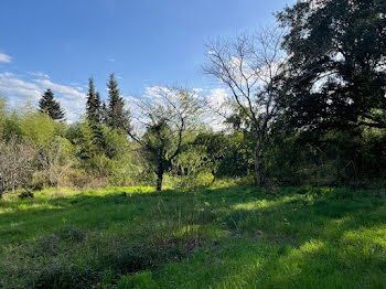 terrain à Rion-des-Landes (40)