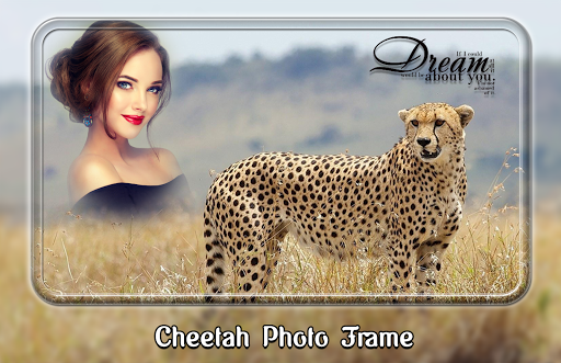 Cheetah Photo Frames