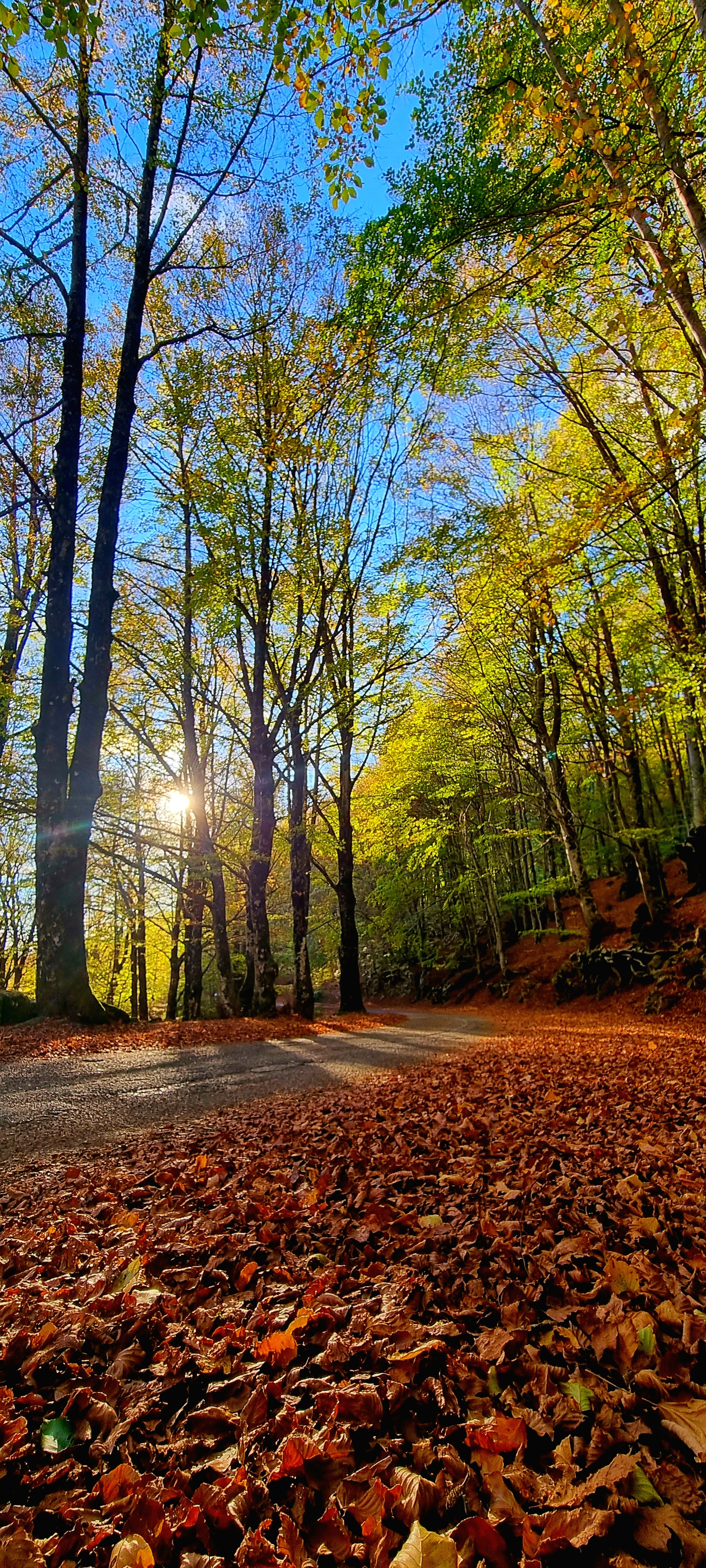 Strada d'autunno di Fede1980