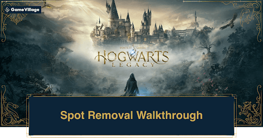 Spot Removal