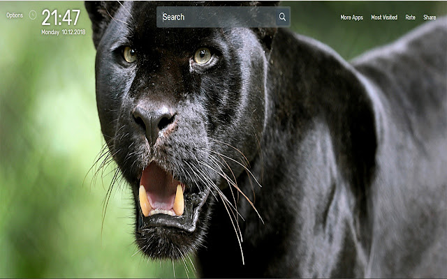 Panther Wallpapers NewTab Theme