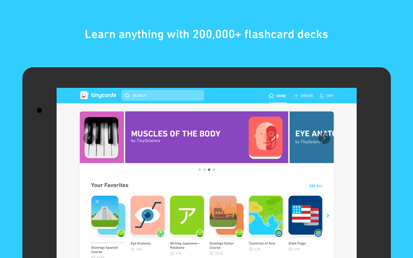    Tinycards by Duolingo: Fun & Free Flashcards- screenshot  