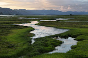 Knysna wetlands at sunset.