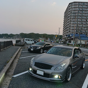 スカイライン V36