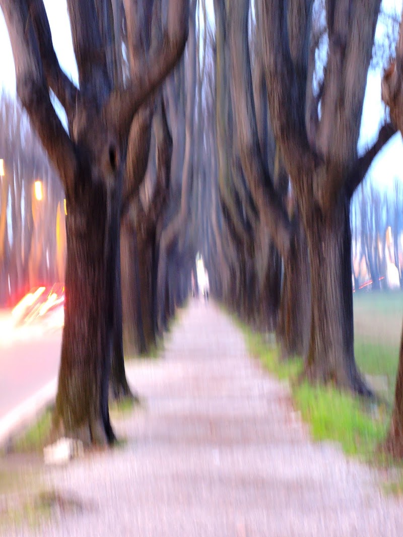 dicembre a Lucca di tomaso melis