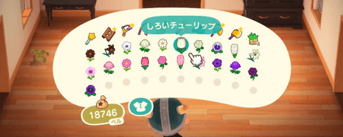 あつ森_しろいチューリップ